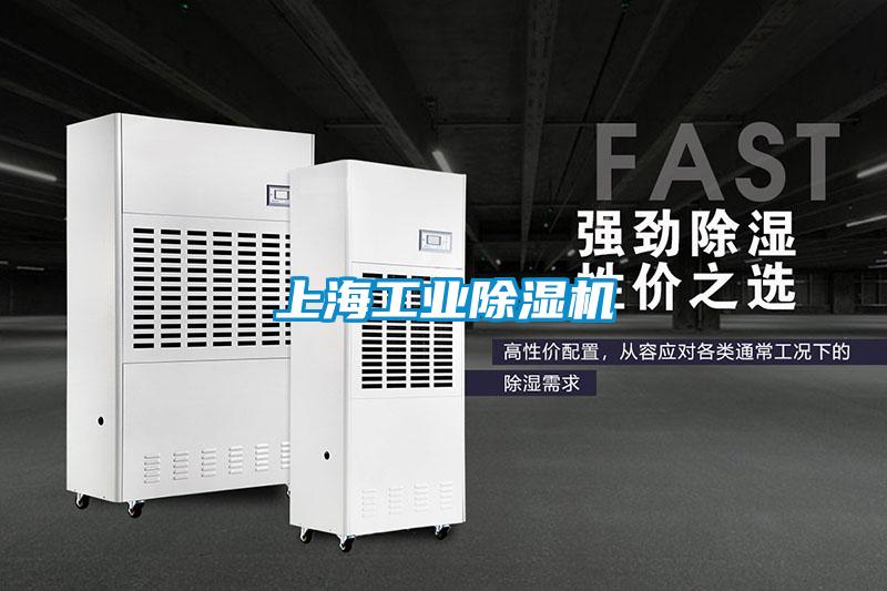 上海工業91看片在线下载機