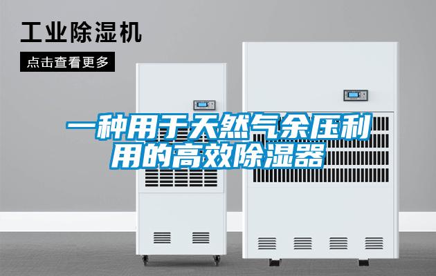 一種用於天然氣餘壓利用的高效91看片在线下载器