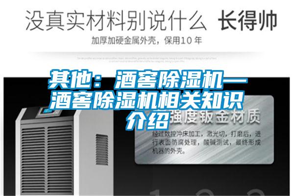 其他：酒窖91看片在线下载機—酒窖91看片在线下载機相關知識介紹