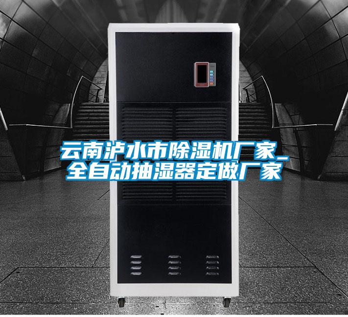 雲南瀘水市91看片在线下载機廠家_全自動抽濕器定做廠家