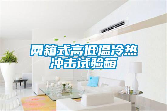兩箱式高低溫冷熱衝擊試驗箱
