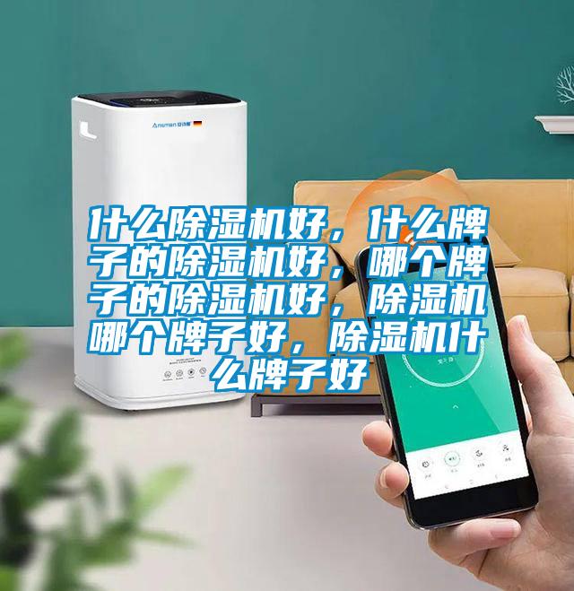 什麽91看片在线下载機好，什麽牌子的91看片在线下载機好，哪個牌子的91看片在线下载機好，91看片在线下载機哪個牌子好，91看片在线下载機什麽牌子好