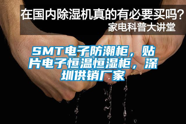 SMT電子防潮櫃，貼片電子恒溫恒濕櫃，深圳供銷廠家