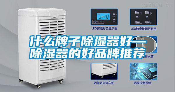 什麽牌子91看片在线下载器好—91看片在线下载器的好品牌推薦