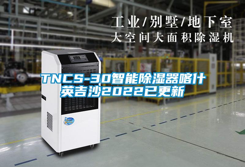 TNCS-30智能91看片在线下载器喀什英吉沙2022已更新