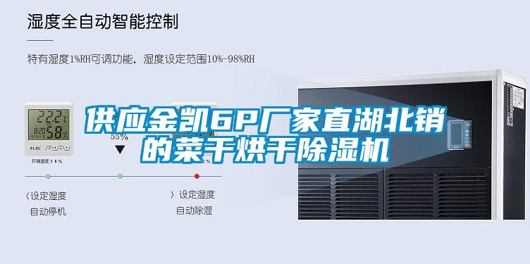 供應金凱6P廠家直湖北銷的菜幹烘幹91看片在线下载機