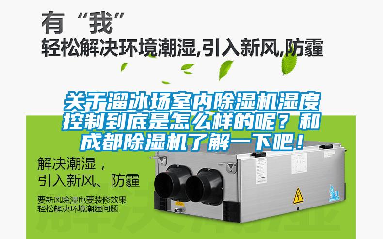 關於溜冰場室內91看片在线下载機濕度控製到底是怎麽樣的呢？和成都91看片在线下载機了解一下吧！