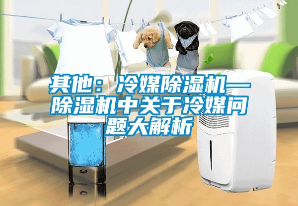 其他：冷媒91看片在线下载機—91看片在线下载機中關於冷媒問題大解析