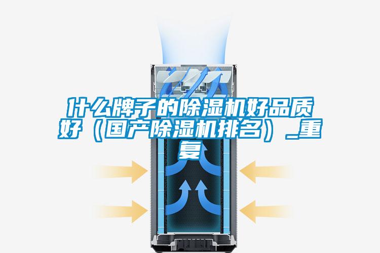 什麽牌子的91看片在线下载機好品質好（國產91看片在线下载機排名）_重複