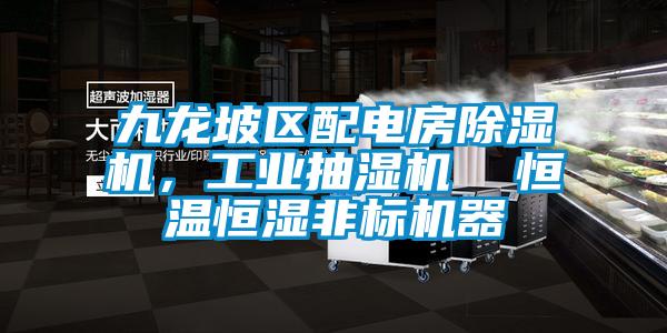 九龍坡區配電房91看片在线下载機，工業抽濕機  恒溫恒濕非標機器