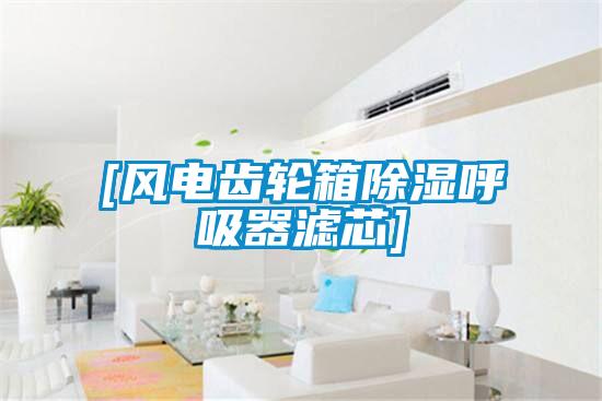 [風電齒輪箱91看片在线下载呼吸器濾芯]