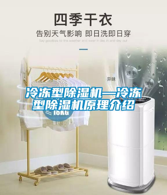 冷凍型91看片在线下载機—冷凍型91看片在线下载機原理介紹