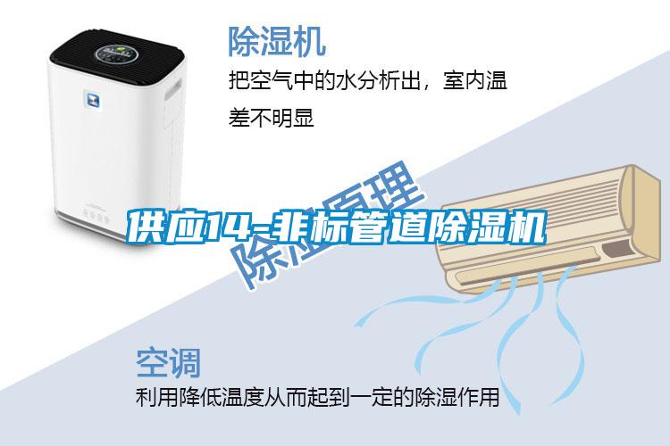 供應14-非標管道91看片在线下载機