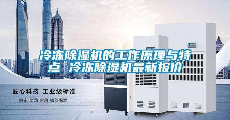 冷凍91看片在线下载機的工作原理與特點 冷凍91看片在线下载機最新報價