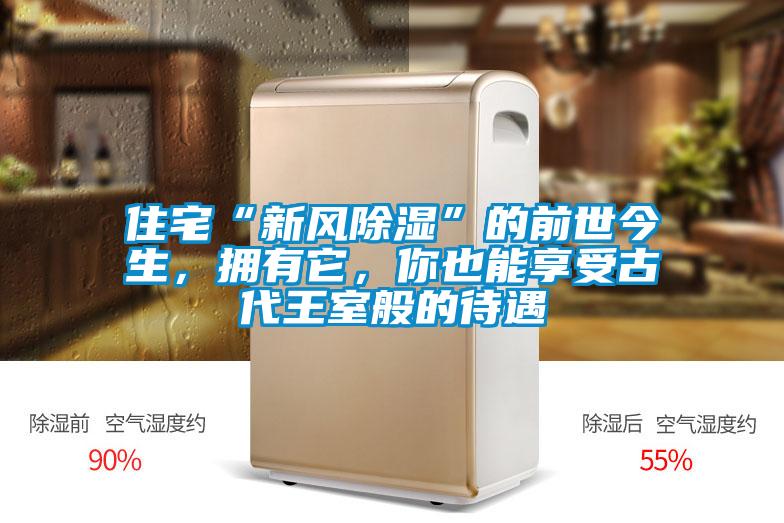 住宅“新風91看片在线下载”的前世今生，擁有它，你也能享受古代王室般的待遇