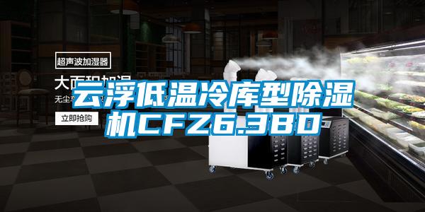 雲浮低溫冷庫型91看片在线下载機CFZ6.3BD
