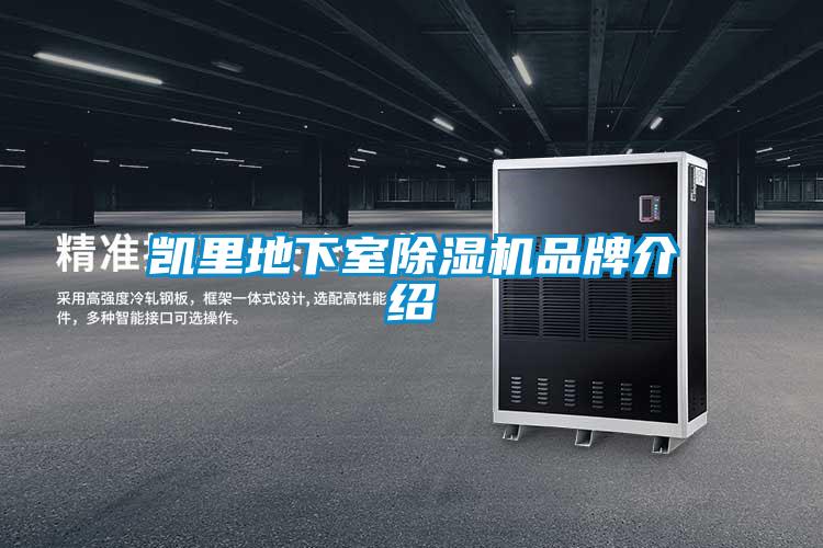 凱裏地下室91看片在线下载機品牌介紹