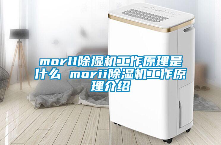 morii91看片在线下载機工作原理是什麽 morii91看片在线下载機工作原理介紹