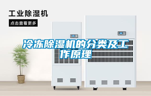 冷凍91看片在线下载機的分類及工作原理