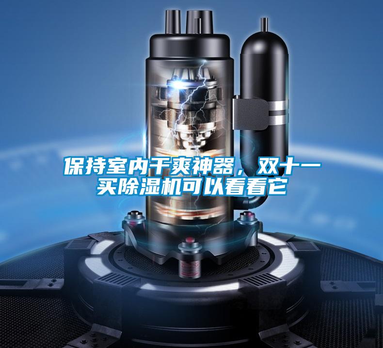 保持室內幹爽神器，雙十一買91看片在线下载機可以看看它