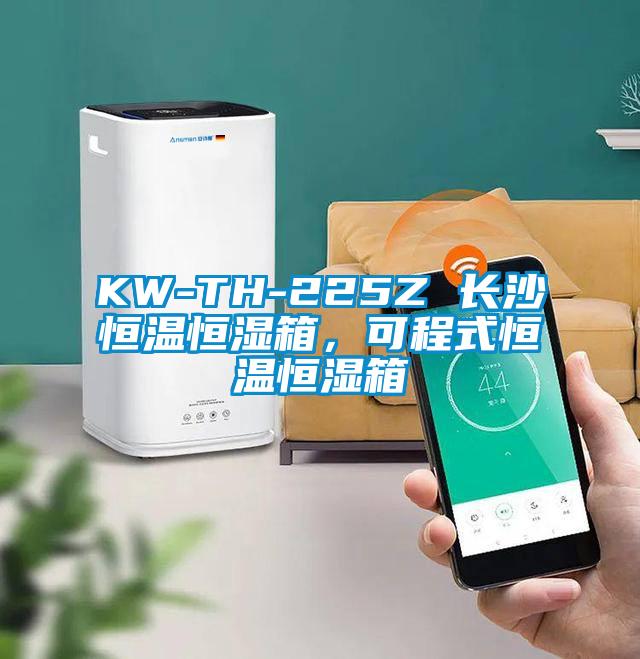 KW-TH-225Z 長沙恒溫恒濕箱，可程式恒溫恒濕箱