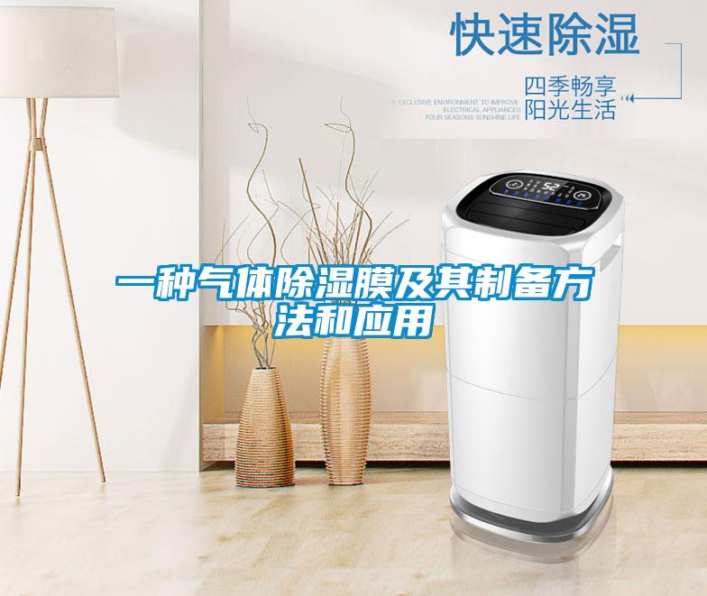 一種氣體91看片在线下载膜及其製備方法和應用