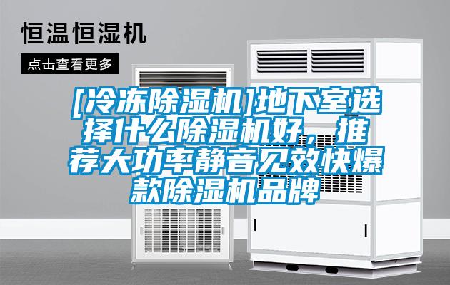 [冷凍91看片在线下载機]地下室選擇什麽91看片在线下载機好，推薦大功率靜音見效快爆款91看片在线下载機品牌