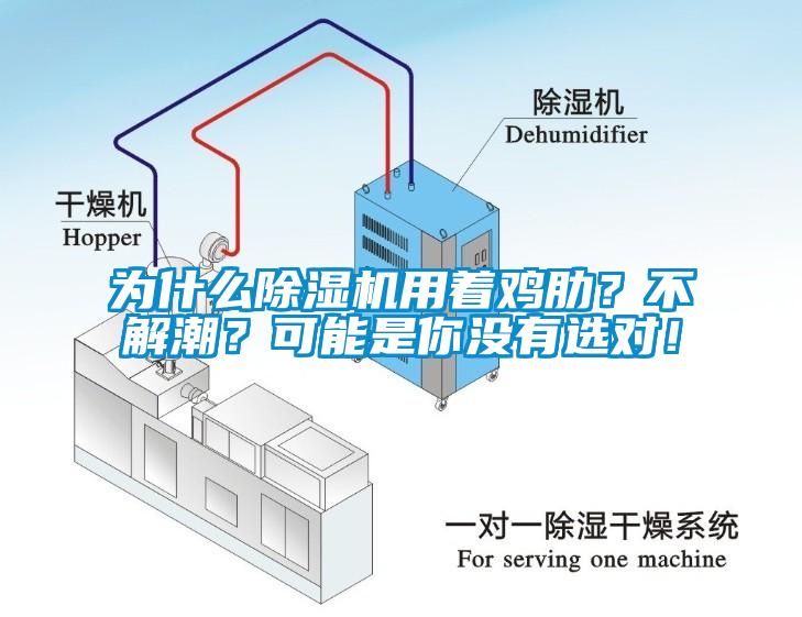 為什麽91看片在线下载機用著雞肋？不解潮？可能是你沒有選對！