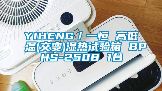 YIHENG／一恒 高低溫(交變)濕熱試驗箱 BPHS-250B 1台