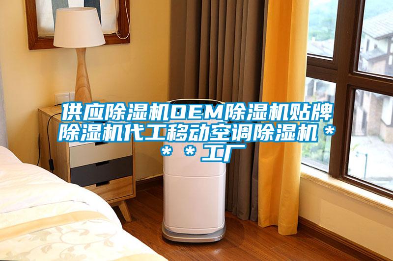 供應91看片在线下载機OEM91看片在线下载機貼牌91看片在线下载機代工移動空調91看片在线下载機＊＊＊工廠