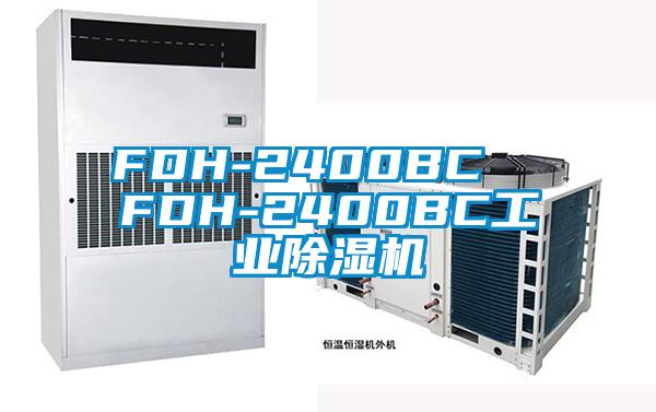 FDH-2400BC  FDH-2400BC工業91看片在线下载機