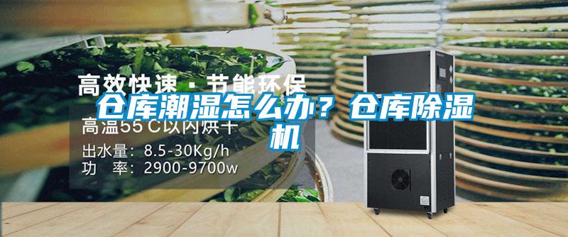 倉庫潮濕怎麽辦？倉庫91看片在线下载機