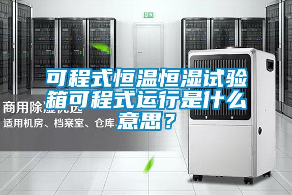 可程式恒溫恒濕試驗箱可程式運行是什麽意思？