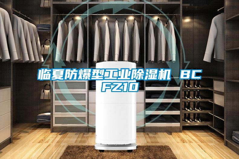 臨夏防爆型工業91看片在线下载機 BCFZ10