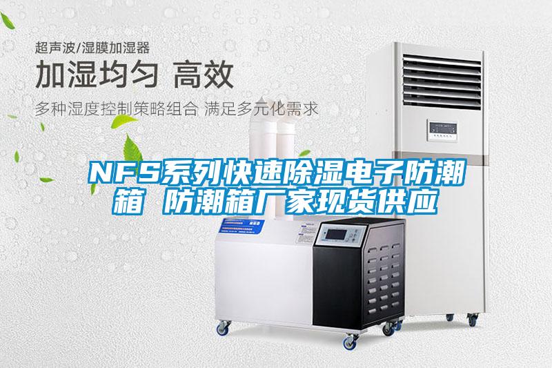 NFS係列快速91看片在线下载電子防潮箱 防潮箱廠家現貨供應