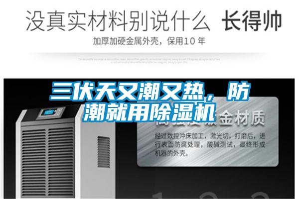 三伏天又潮又熱，防潮就用91看片在线下载機