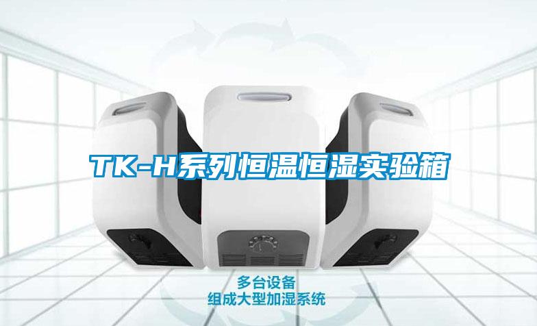 TK-H係列恒溫恒濕實驗箱