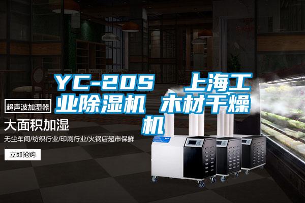 YC-20S  上海工業91看片在线下载機 木材幹燥機