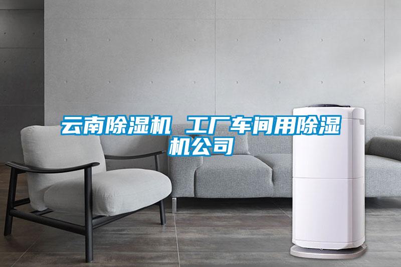 雲南91看片在线下载機 工廠車間用91看片在线下载機公司