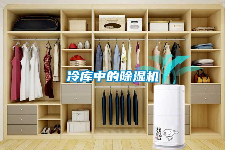 冷庫中的91看片在线下载機