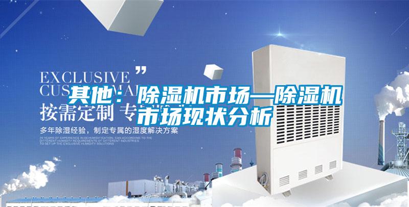 其他：91看片在线下载機市場—91看片在线下载機市場現狀分析