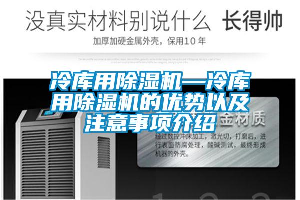 冷庫用91看片在线下载機—冷庫用91看片在线下载機的優勢以及注意事項介紹