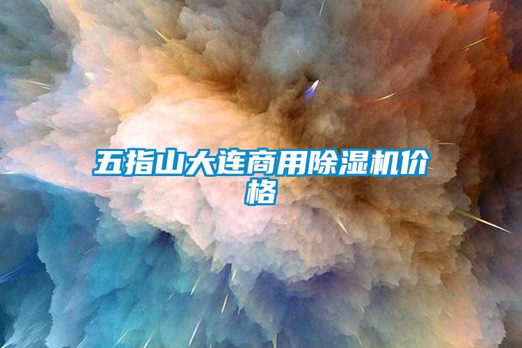 五指山大連商用91看片在线下载機價格