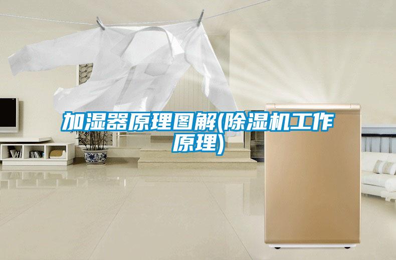 加濕器原理圖解(91看片在线下载機工作原理)