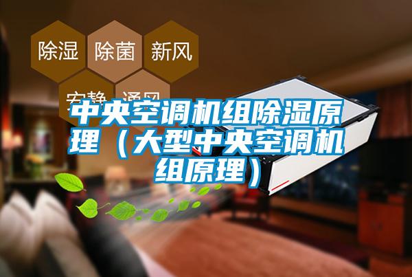 中央空調機組91看片在线下载原理（大型中央空調機組原理）