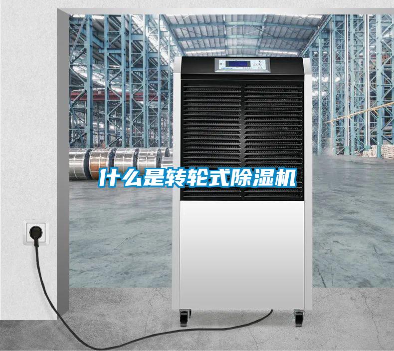 什麽是轉輪式91看片在线下载機