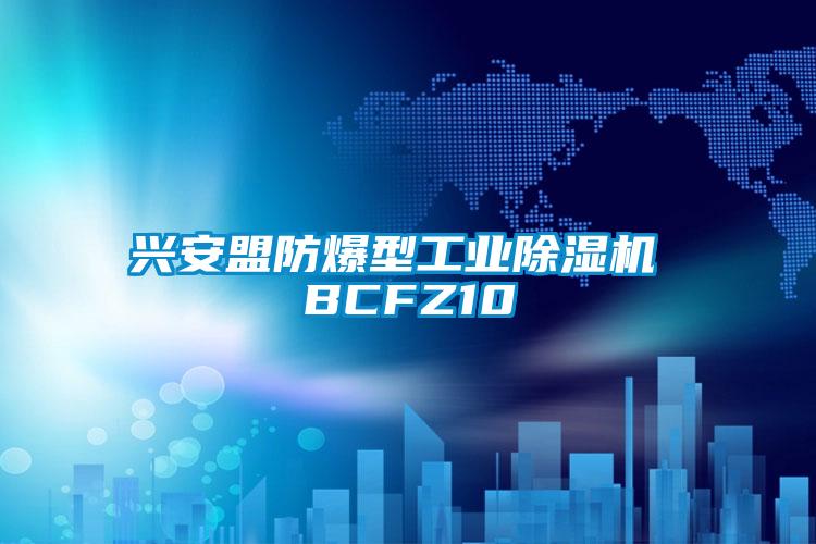 興安盟防爆型工業91看片在线下载機 BCFZ10