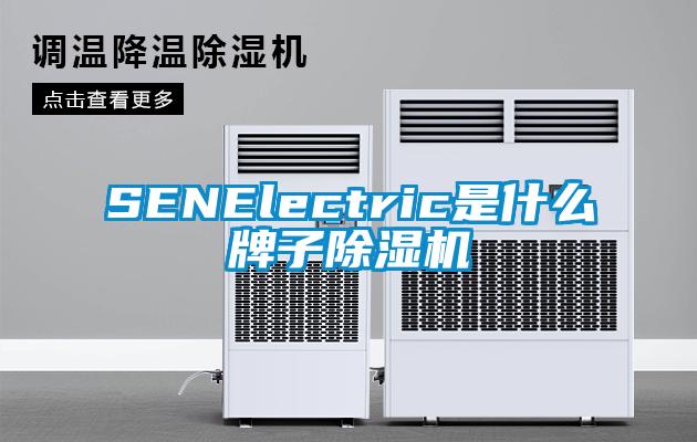 SENElectric是什麽牌子91看片在线下载機