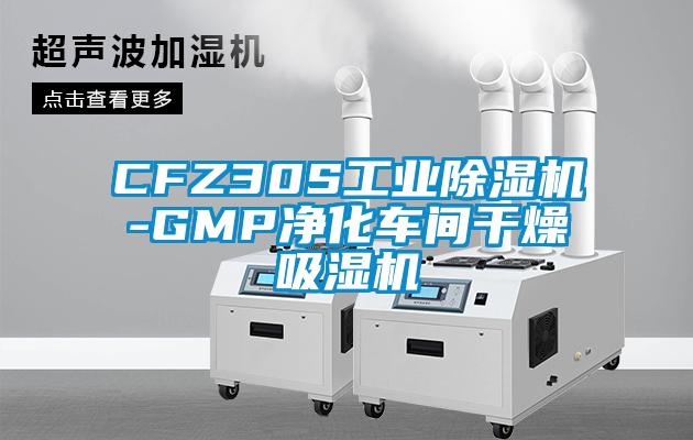 CFZ30S工業91看片在线下载機-GMP淨化車間幹燥吸濕機