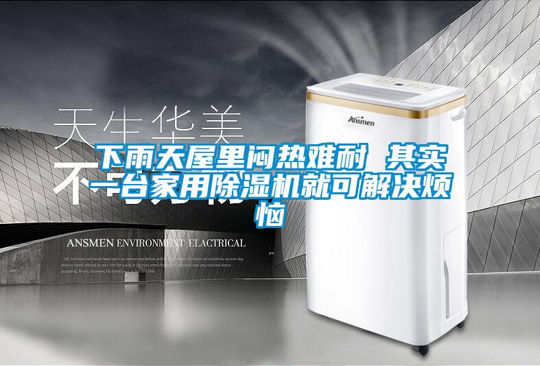 下雨天屋裏悶熱難耐 其實一台家用91看片在线下载機就可解決煩惱